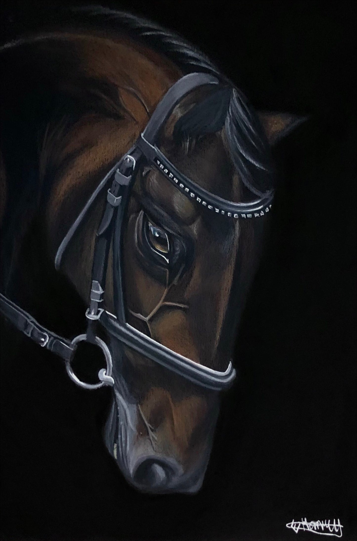 Stallion by Emma Henry
