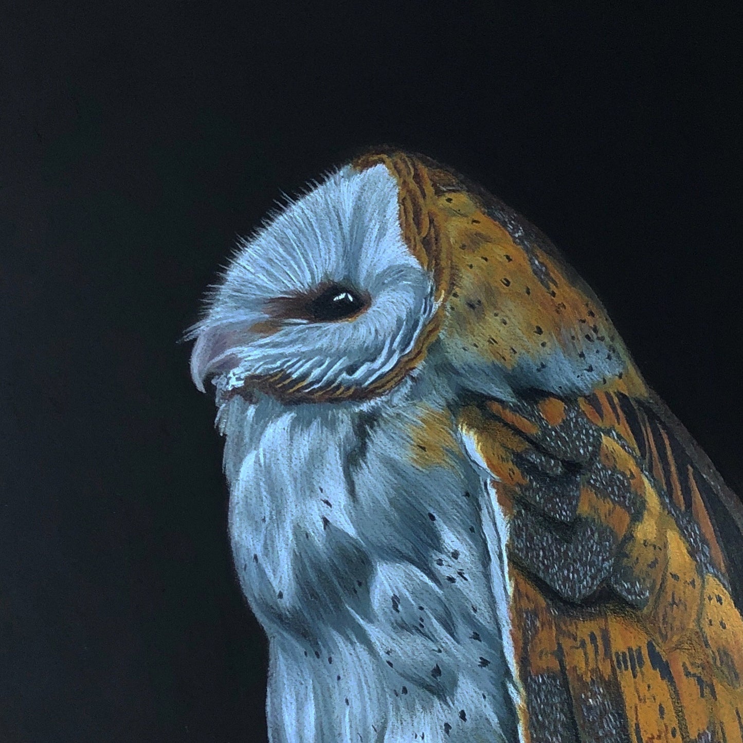 Feathers Like Gold by Emma Henry