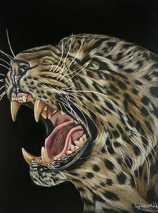 Ferocity by Emma Henry