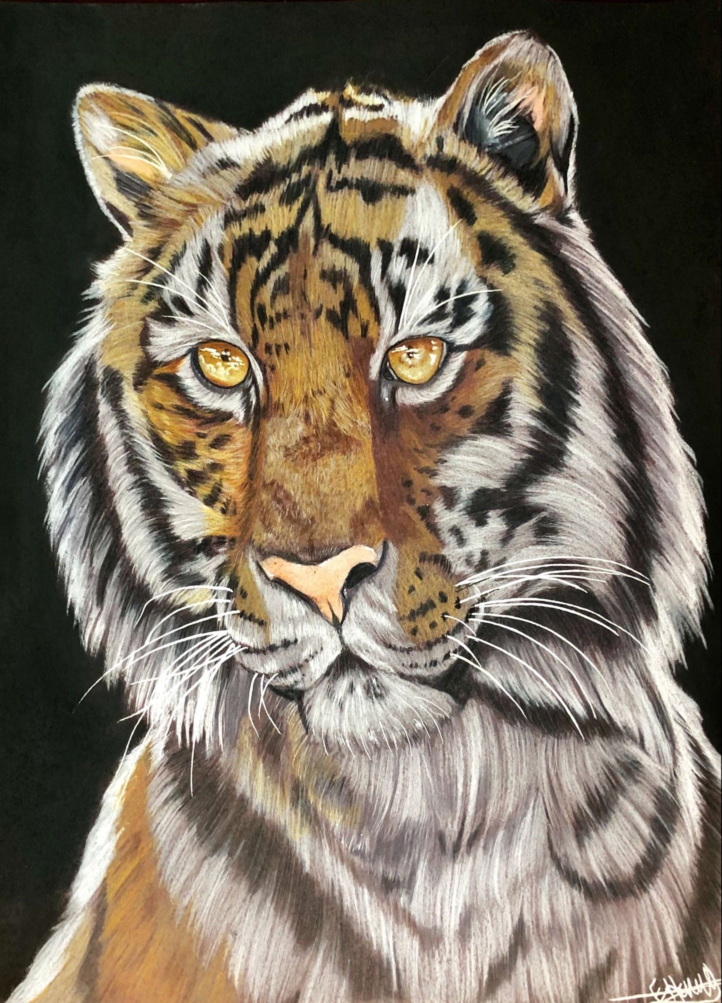 Gold Eyes by Emma Henry