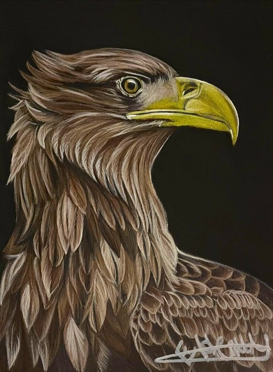 Prideful by Emma Henry