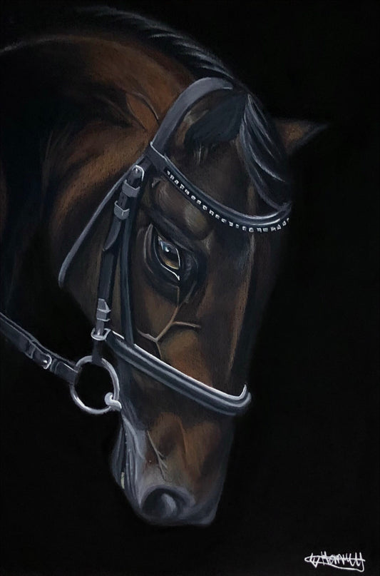 Stallion by Emma Henry